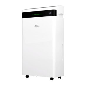 Luftentfeuchter Raumentfeuchter TT-EF 04.1 mit WiFi